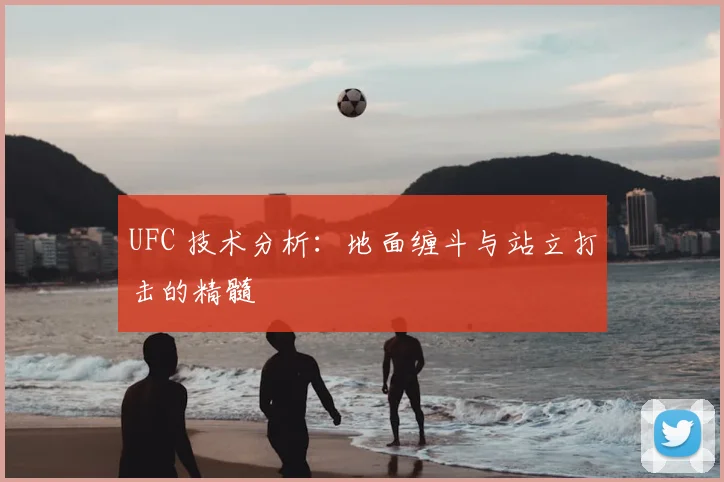 UFC 技术分析：地面缠斗与站立打击的精髓