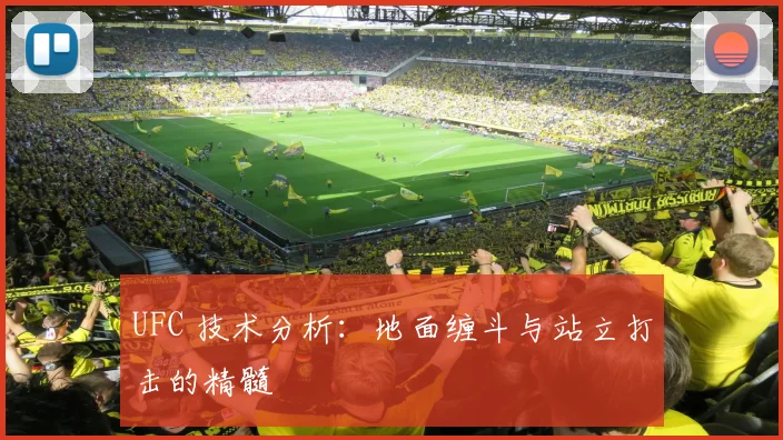 UFC 技术分析:地面缠斗与站立打击的精髓